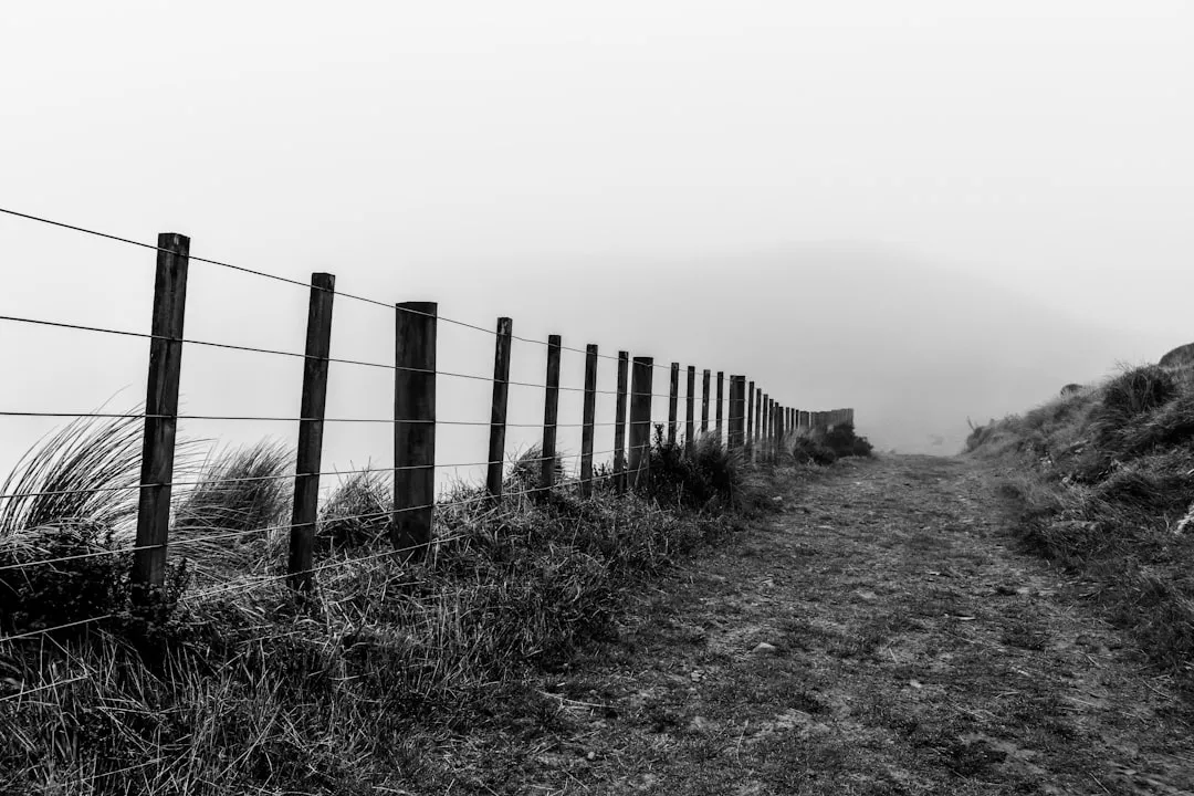 A fence lines a path through grassy terrain